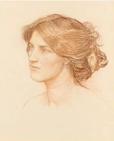 Study for Gather Ye Rose Buds While Ye May John William Waterhouse